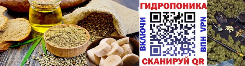 Canna-Cookies марихуана  Фокино 