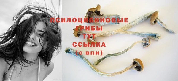 СК Лиски