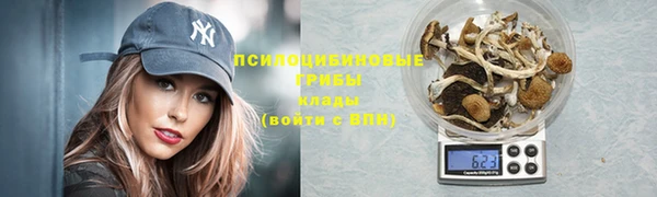 кокс Липки