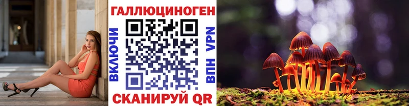 Псилоцибиновые грибы мицелий  kraken как зайти  Фокино  darknet Telegram  купить  цена 